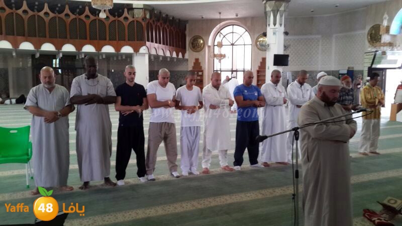 mo3tmreen 0409 (9).jpg